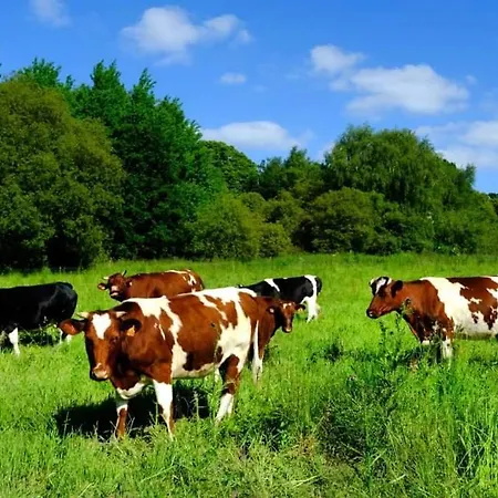 La Ferme De Beau Soleil Et *