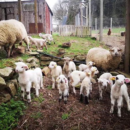 Gospodarstwo wiejskie La Ferme De Beau Soleil Et Saint-Gilles-du-Mene