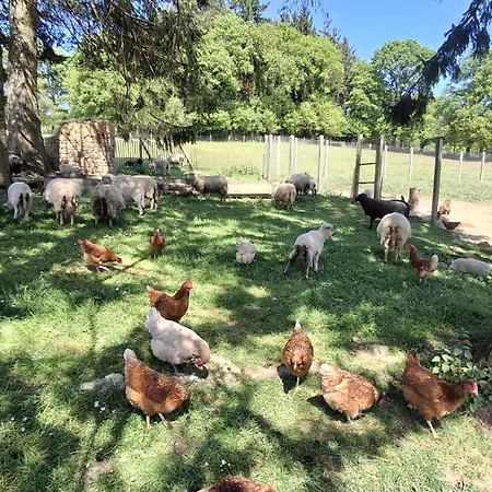 Gospodarstwo wiejskie La Ferme De Beau Soleil Et