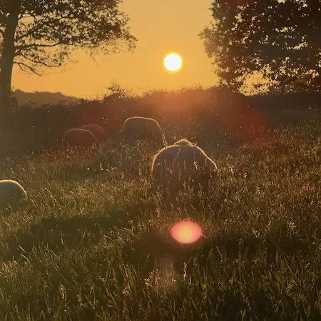 La Ferme De Beau Soleil Et Gospodarstwo wiejskie Saint-Gilles-du-Mene