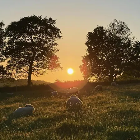 Gospodarstwo wiejskie La Ferme De Beau Soleil Et Saint-Gilles-du-Mene